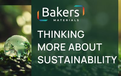 Thinking More About Sustainability